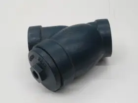 T242670 Armstrong 1289824 Threaded Y Strainer