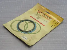 Rgasketx042 Fisher Seat Ring Gasket T244028