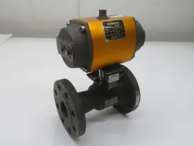 T222969 Flowserve N0318 20 39sn R6 Pneumatic Actuator