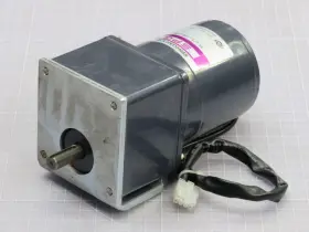 S9i40gah-v12 Spg Speed Control Motor T248191