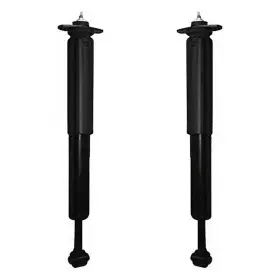 2-253060-001 Unity 815716026820 Automotive Rear 2 Wheel Gas Shock Kit 2004-2008 Chrysler P