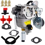 541-0765 Carburetor For Onan 5500 Generator 141-0982 141-0983 146-0774 A043B7... New. Price: $75.09.