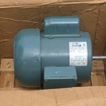 Reliance Electric 3/4 Hp Induction Motor Tefc 115/208/230V Single Phase 1740 Rpm New. Price: $390.00.